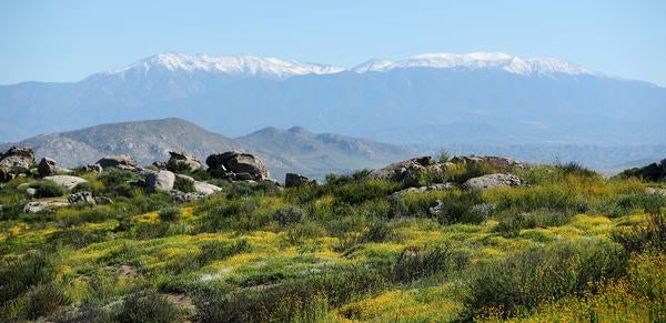 UCR Natural Reserves Motte Rimrock panorama (c) UCR / Stan Lim